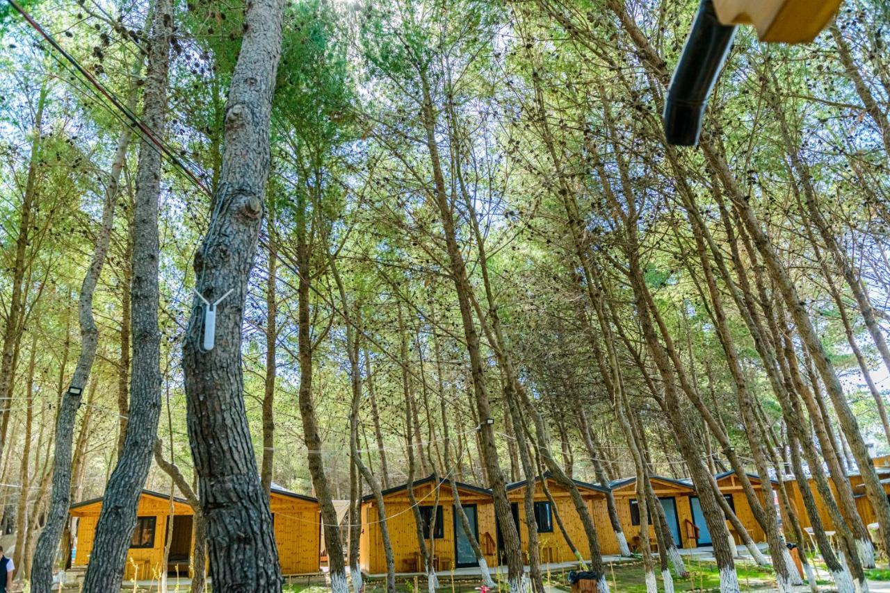 Ecuador Resort Zverneci Exterior foto